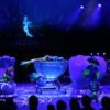 Zirkus Knie in Leer: Magie und Faszination - beinahe ganz ohne Tiere. Fotos: Katarzyna Siemers und Till Oliver Becker